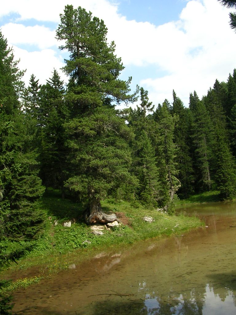 Laghi ......del VENETO